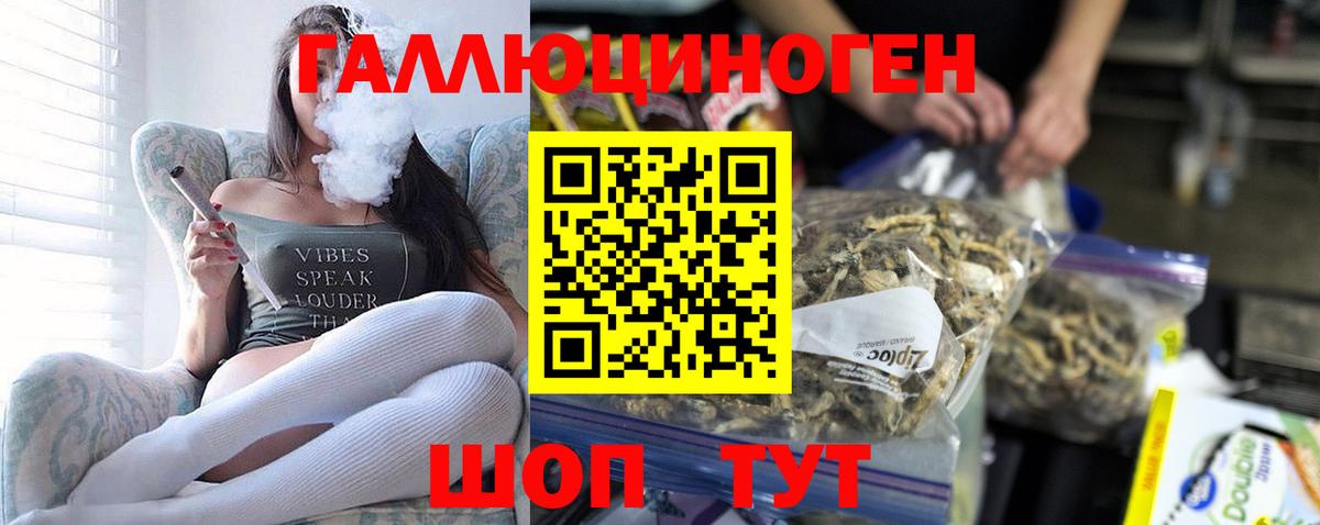 Галлюциногенные грибы Psilocybe Алушта
